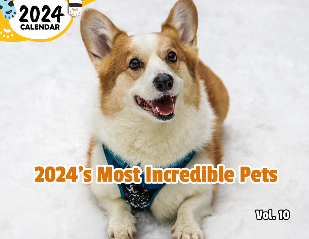 2024's Most Incredible Pets Volume Ten: 2024 Wall Calendar (Published)