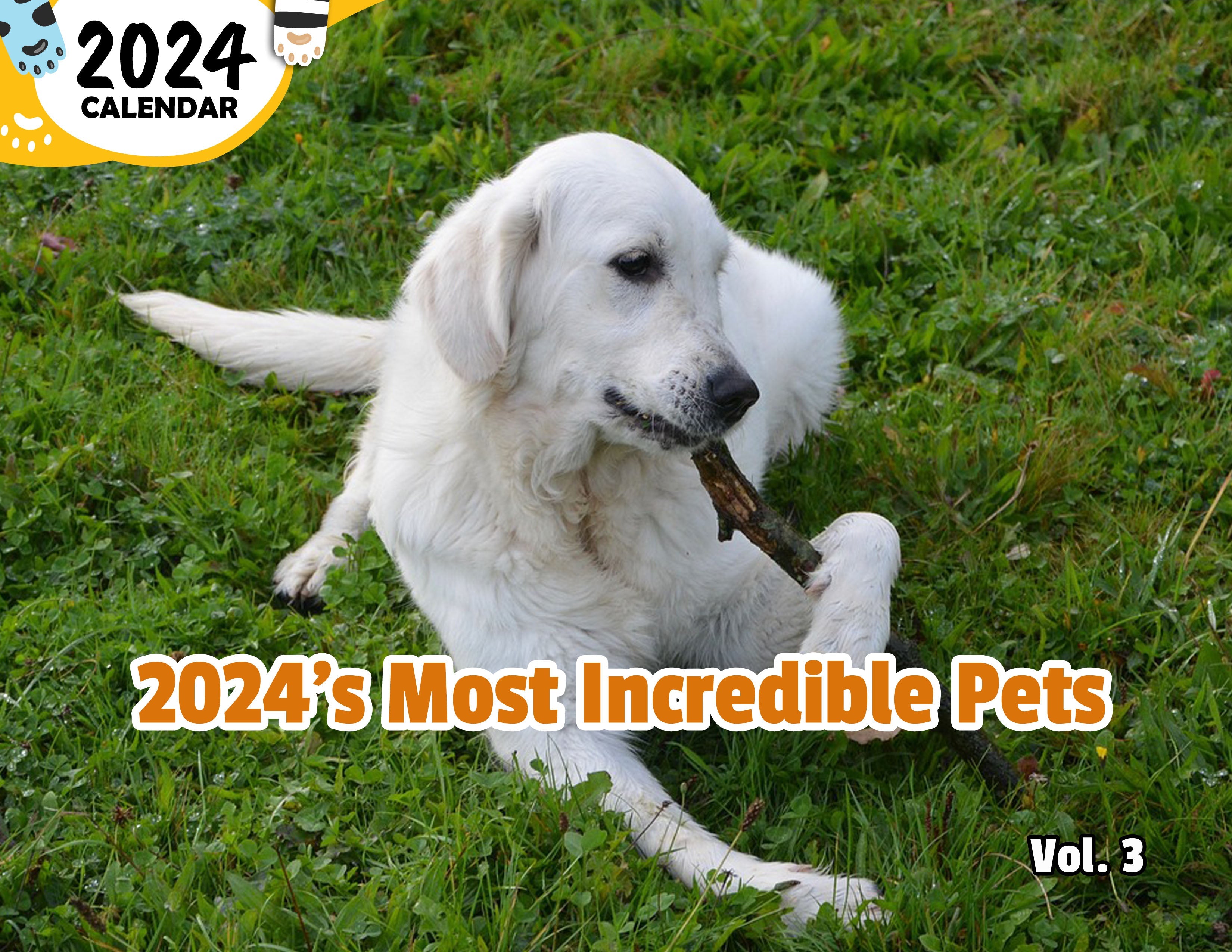2024's Most Incredible Pets Volume Three: 2024 Wall Calendar (Published)