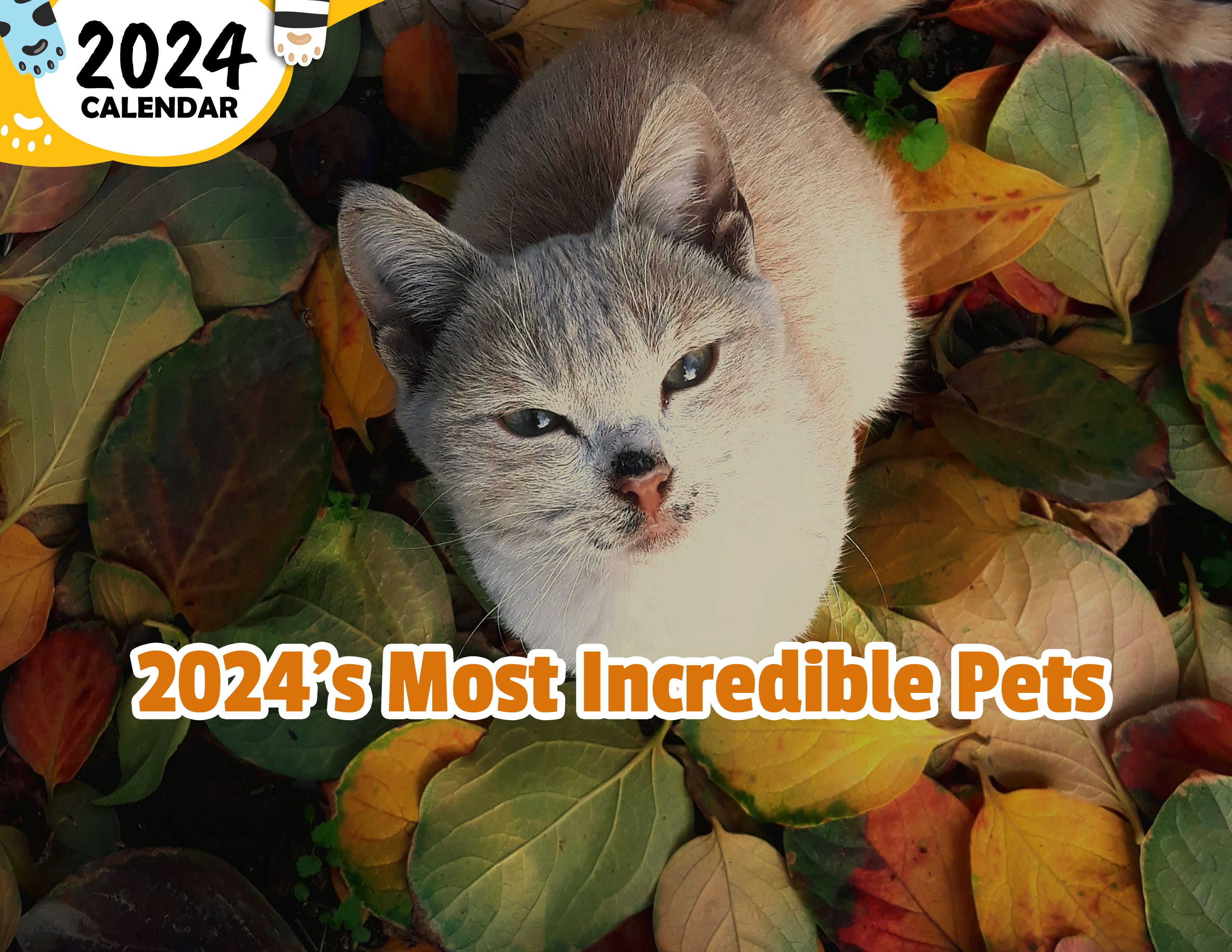 2024's Most Incredible Pets: 2024 Wall Calendar (Published)