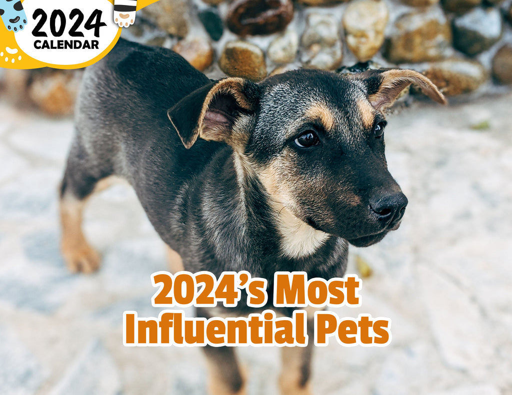 2024's Most Influential Pets: 2024 Wall Calendar (Published)