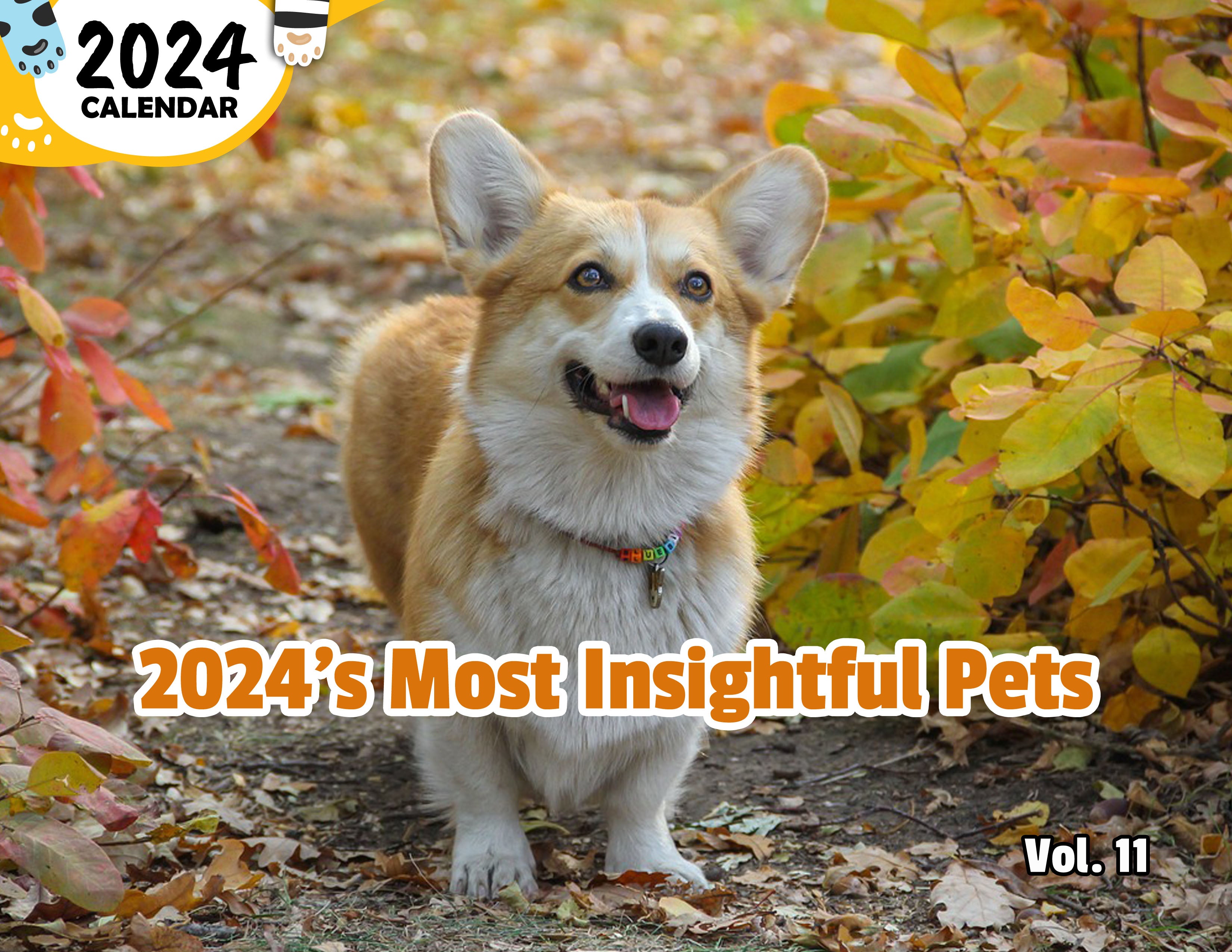 2024's Most Insightful Pets Volume Eleven: 2024 Wall Calendar (Published)
