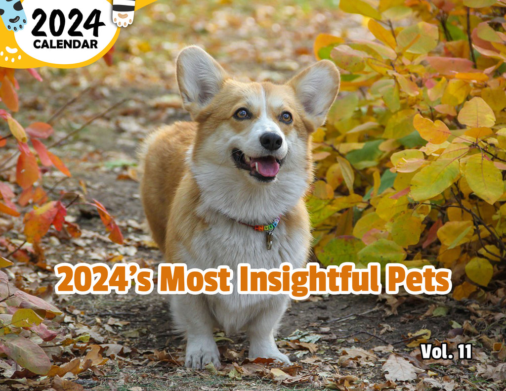 2024's Most Insightful Pets Volume Eleven: 2024 Wall Calendar (Published)