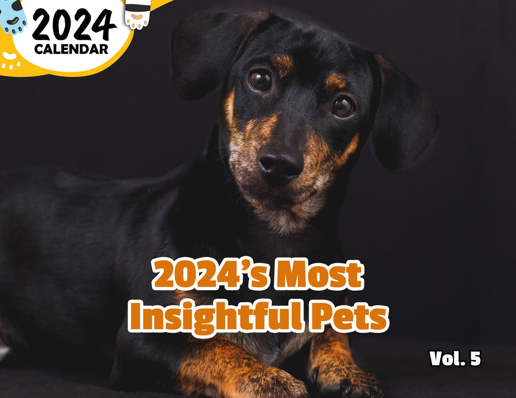 2024's Most Insightful Pets Volume Five: 2024 Wall Calendar (Published)