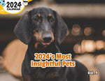 2024's Most Insightful Pets Volume Nine: 2024 Wall Calendar (Published)