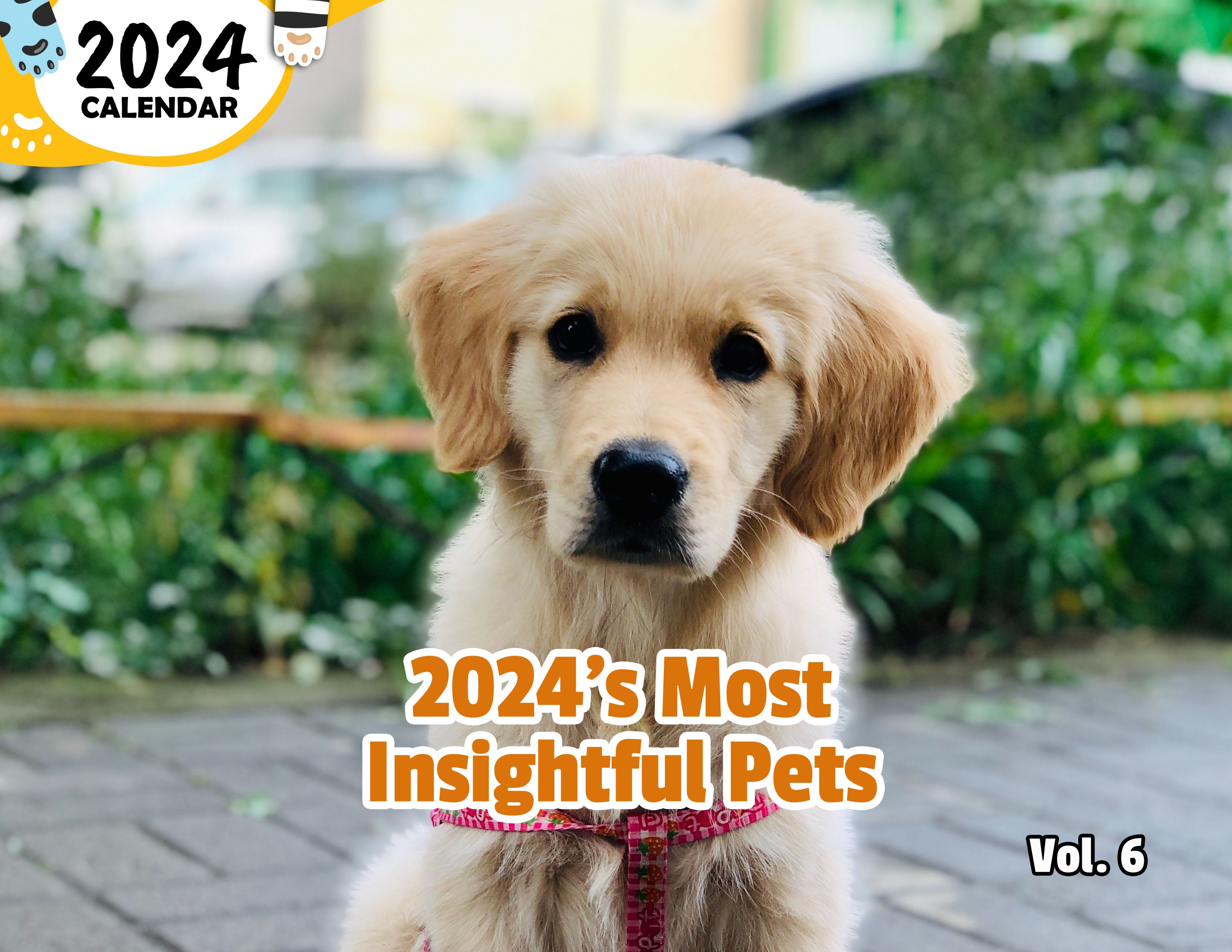 2024's Most Insightful Pets Volume Six: 2024 Wall Calendar (Published)