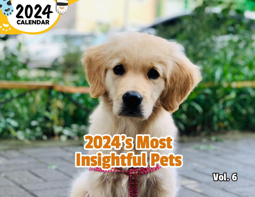 2024's Most Insightful Pets Volume Six: 2024 Wall Calendar (Published)