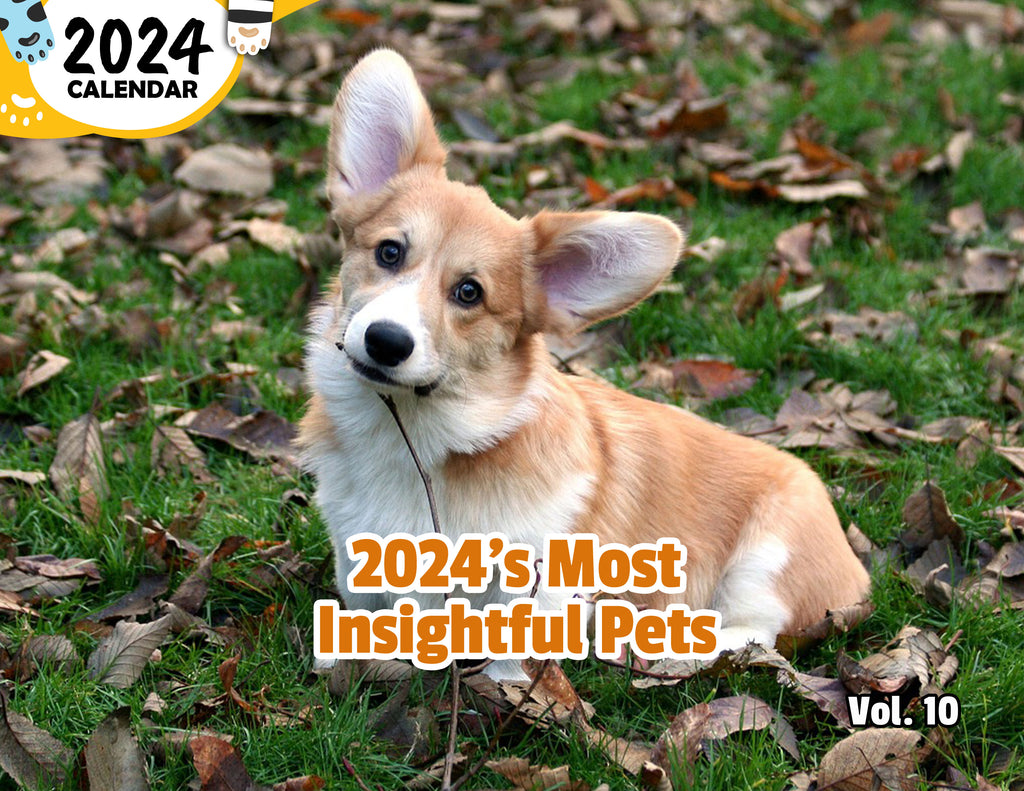 2024's Most Insightful Pets Volume Ten: 2024 Wall Calendar (Published)