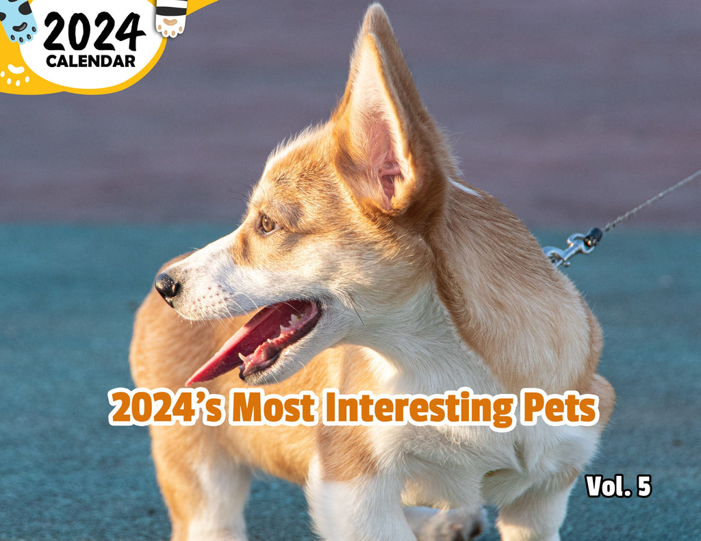 2024's Most Interesting Pets Volume Five: 2024 Wall Calendar (Published)