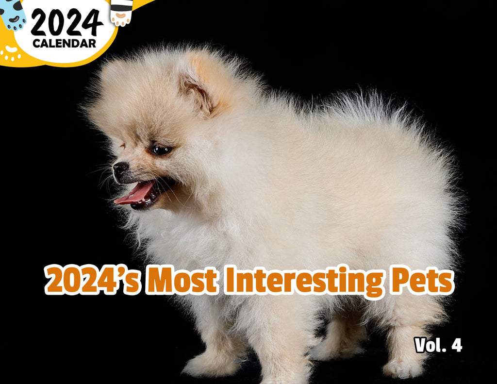 2024's Most Interesting Pets Volume Four: 2024 Wall Calendar (Published)