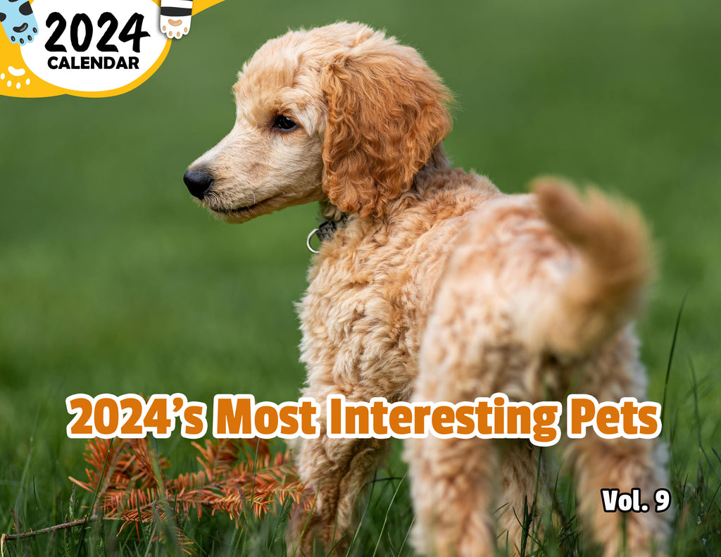 2024's Most Interesting Pets Volume Nine: 2024 Wall Calendar (Published)