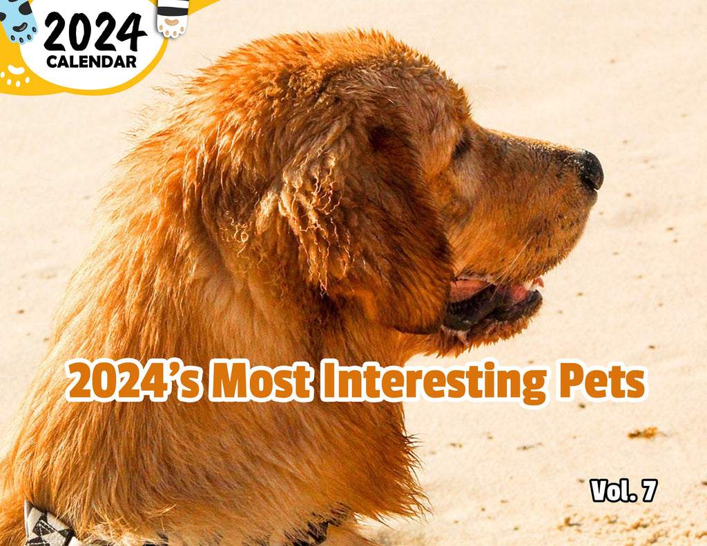 2024's Most Interesting Pets Volume Seven: 2024 Wall Calendar (Published)