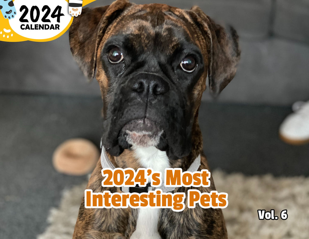 2024's Most Interesting Pets Volume Six: 2024 Wall Calendar (Published)
