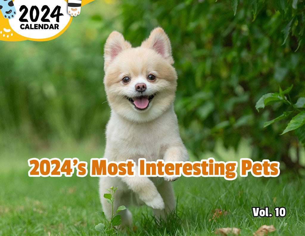 2024's Most Interesting Pets Volume Ten: 2024 Wall Calendar (Published)