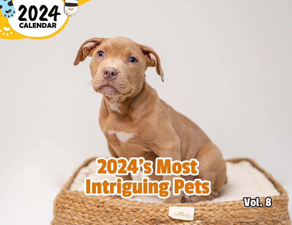 2024's Most Intriguing Pets Volume Eight: 2024 Wall Calendar (Published)