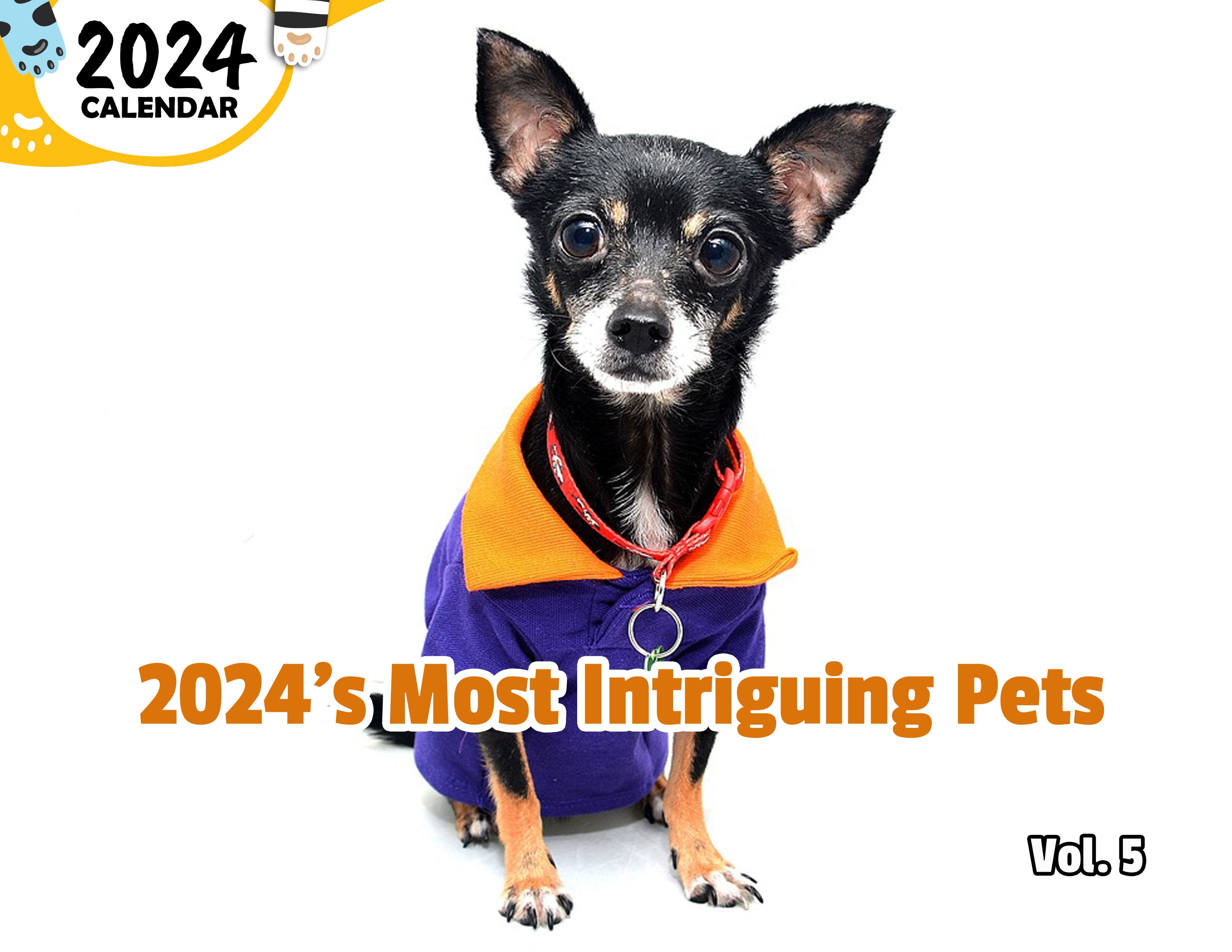 2024's Most Intriguing Pets Volume Five: 2024 Wall Calendar (Published)