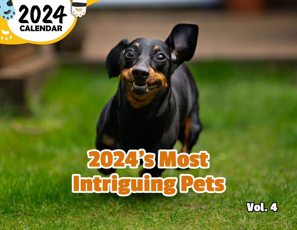 2024's Most Intriguing Pets Volume Four: 2024 Wall Calendar (Published)