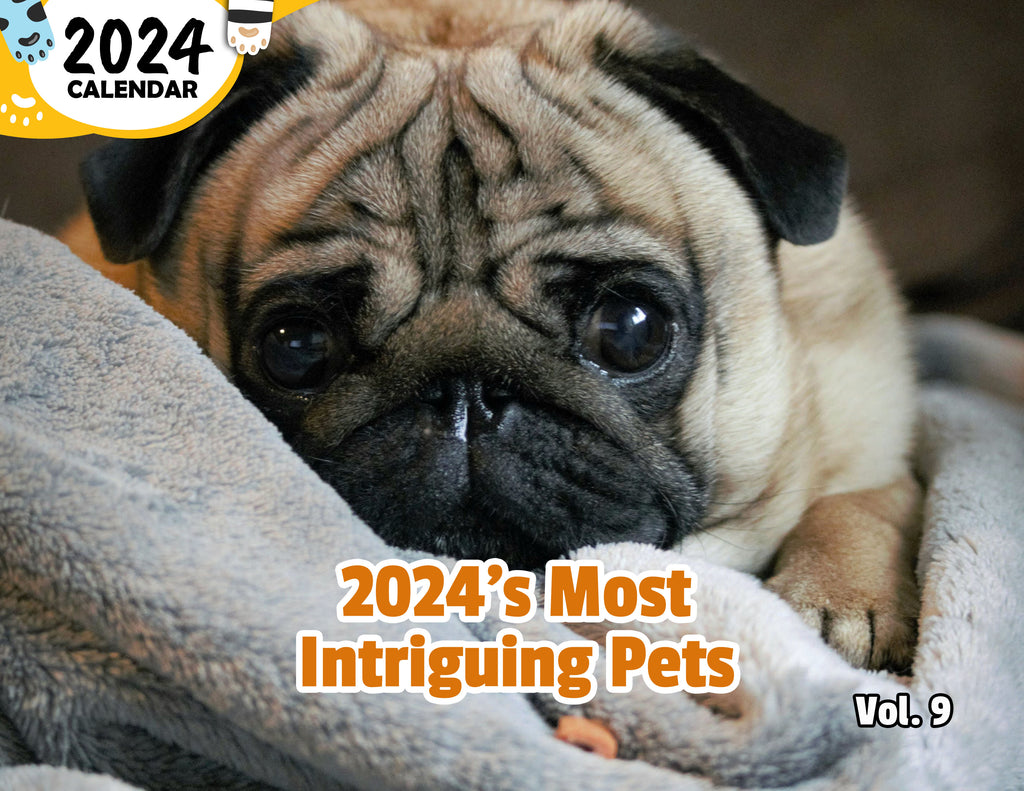 2024's Most Intriguing Pets Volume Nine: 2024 Wall Calendar (Published)