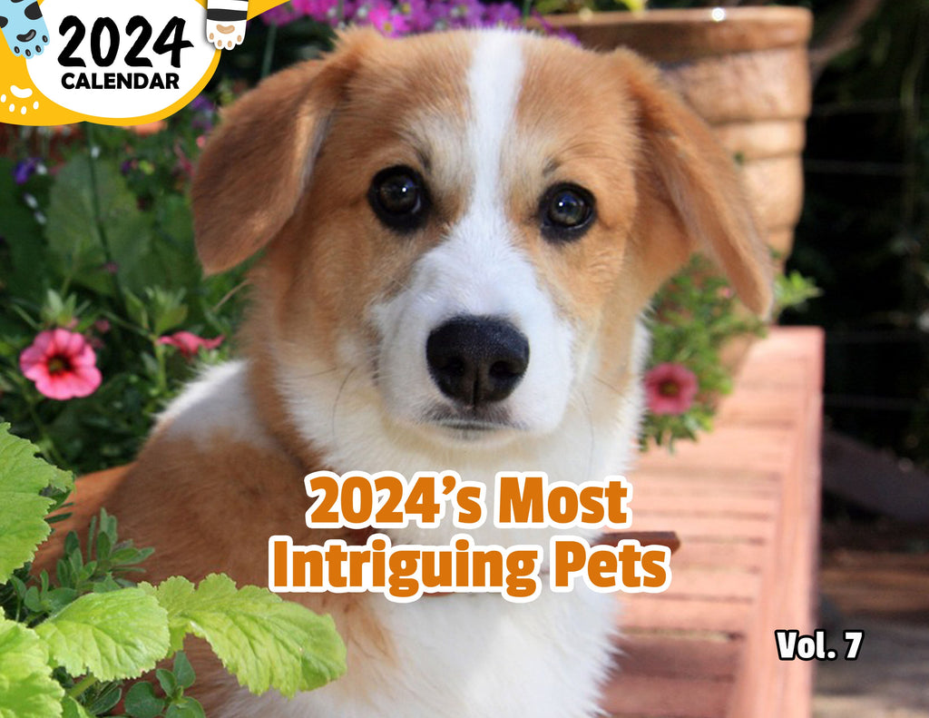 2024's Most Intriguing Pets Volume Seven: 2024 Wall Calendar (Published)