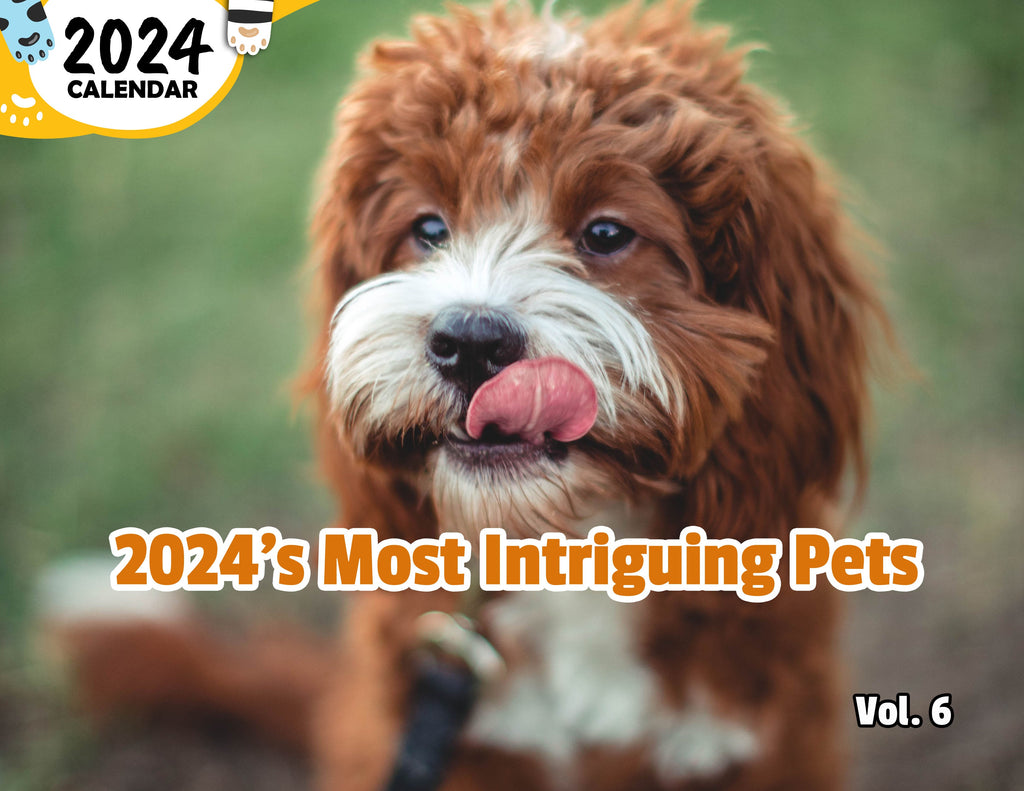 2024's Most Intriguing Pets Volume Six: 2024 Wall Calendar (Published)