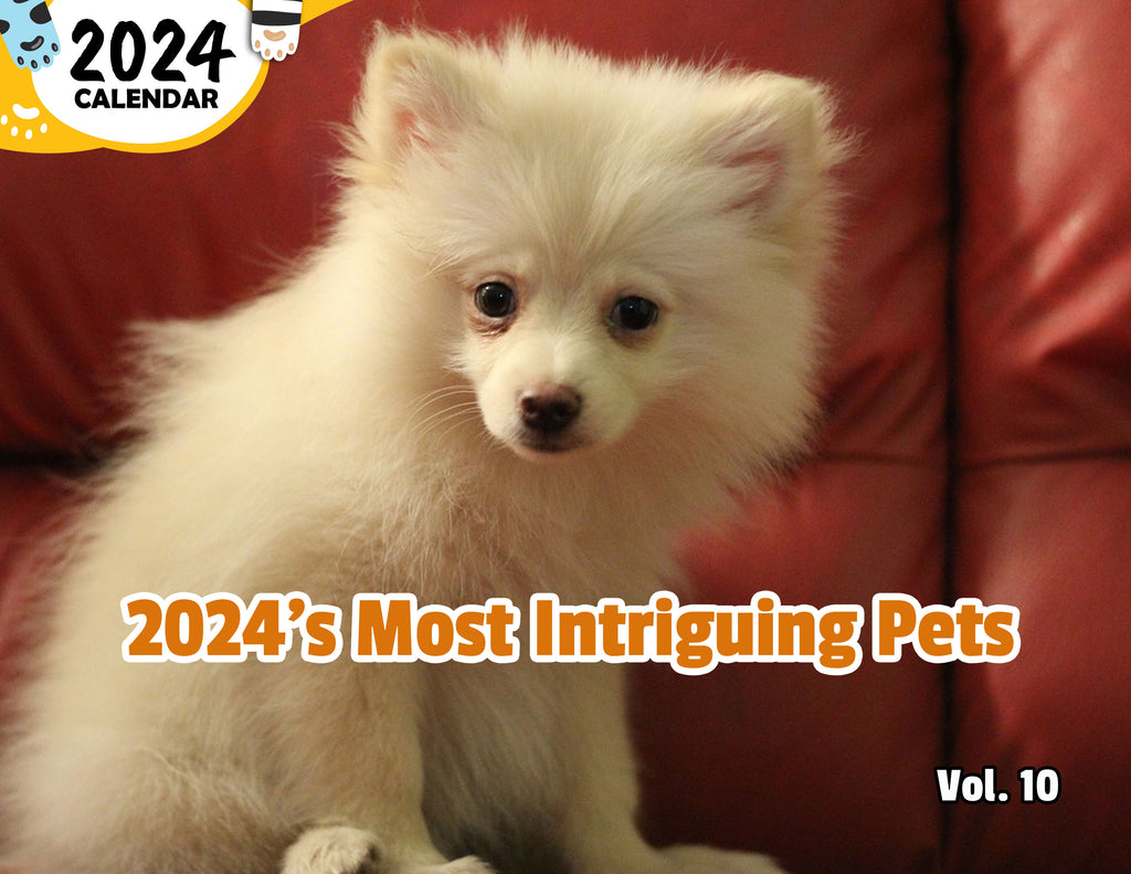 2024's Most Intriguing Pets Volume Ten: 2024 Wall Calendar (Published)