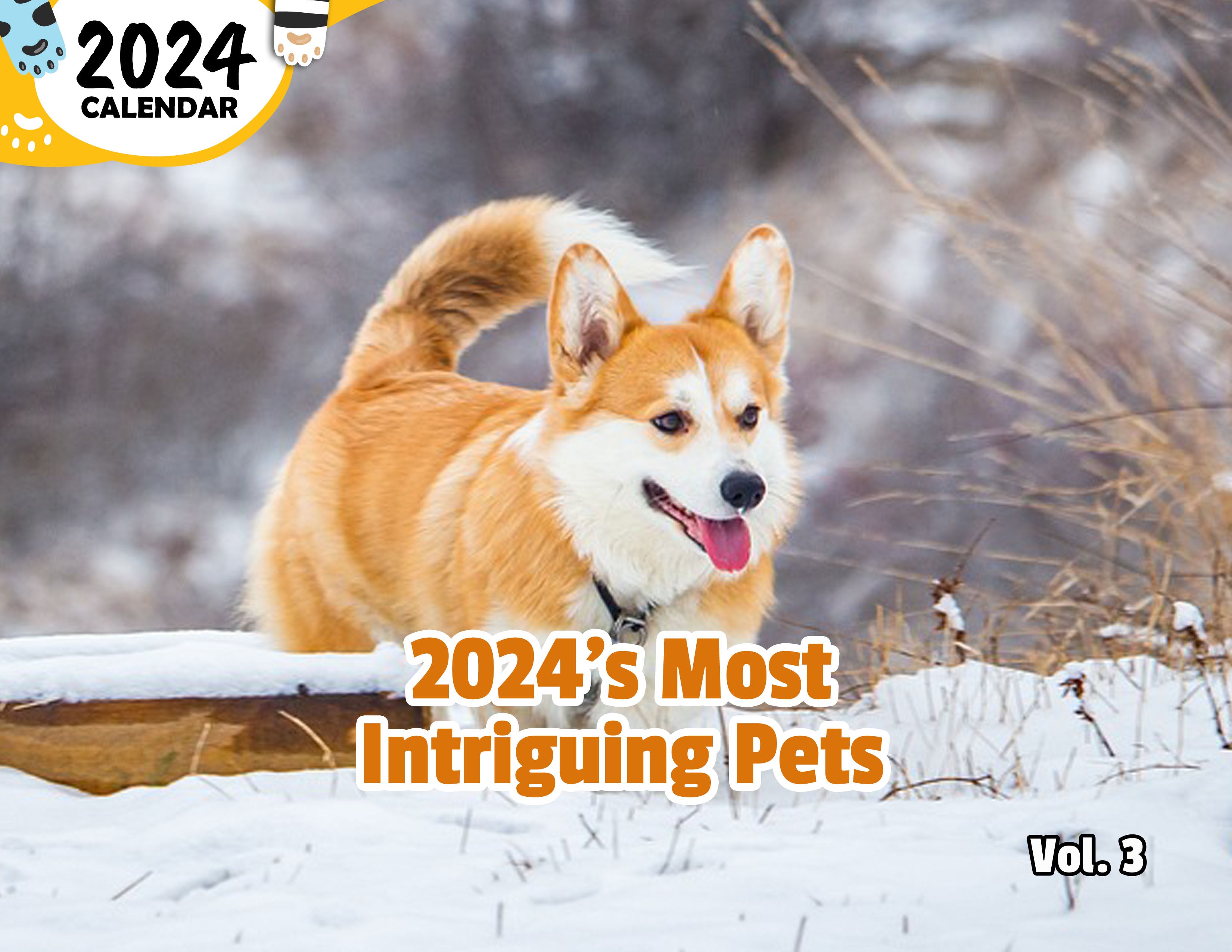 2024's Most Intriguing Pets Volume Three: 2024 Wall Calendar (Published)