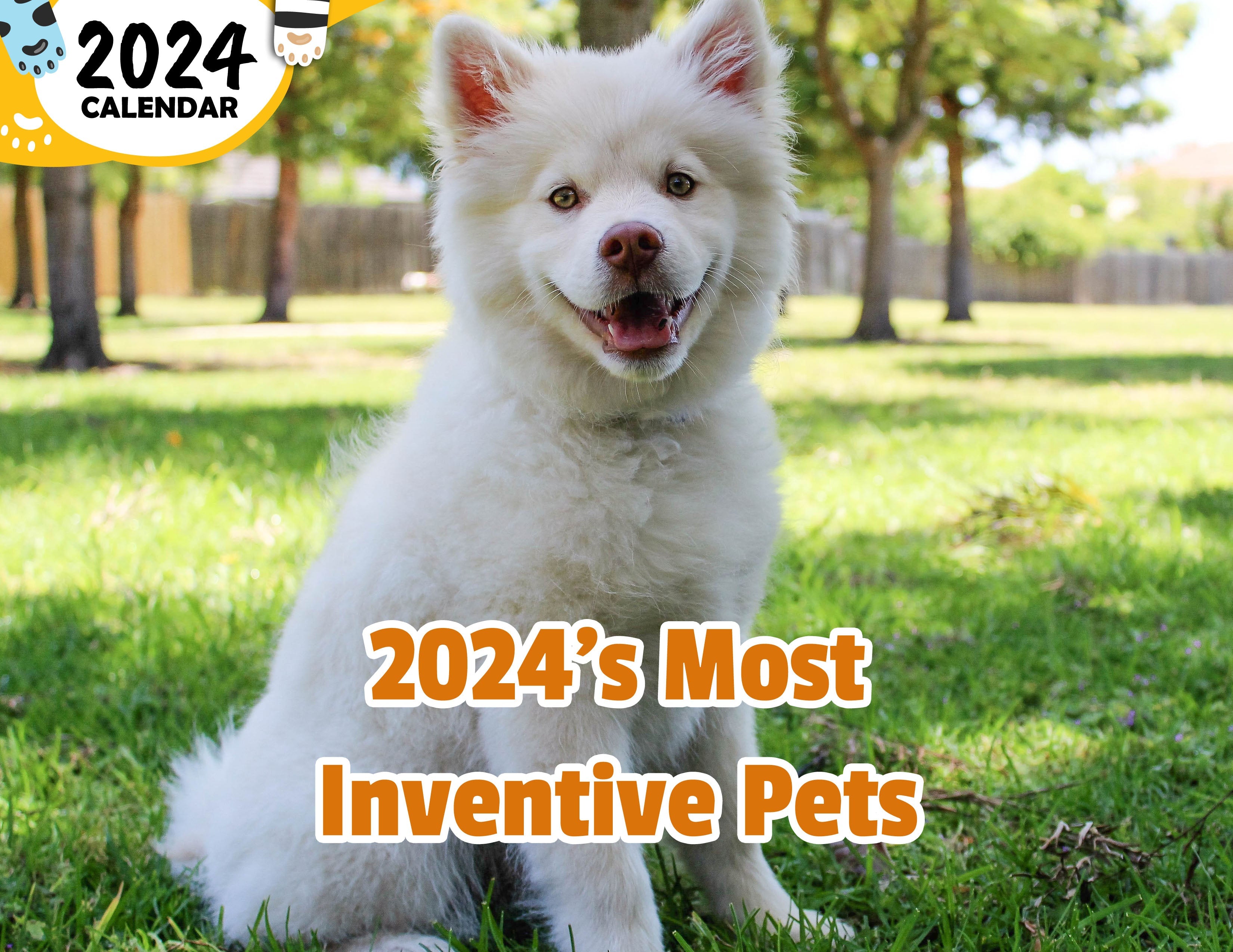 2024's Most Inventive Pets: 2024 Wall Calendar (Published)