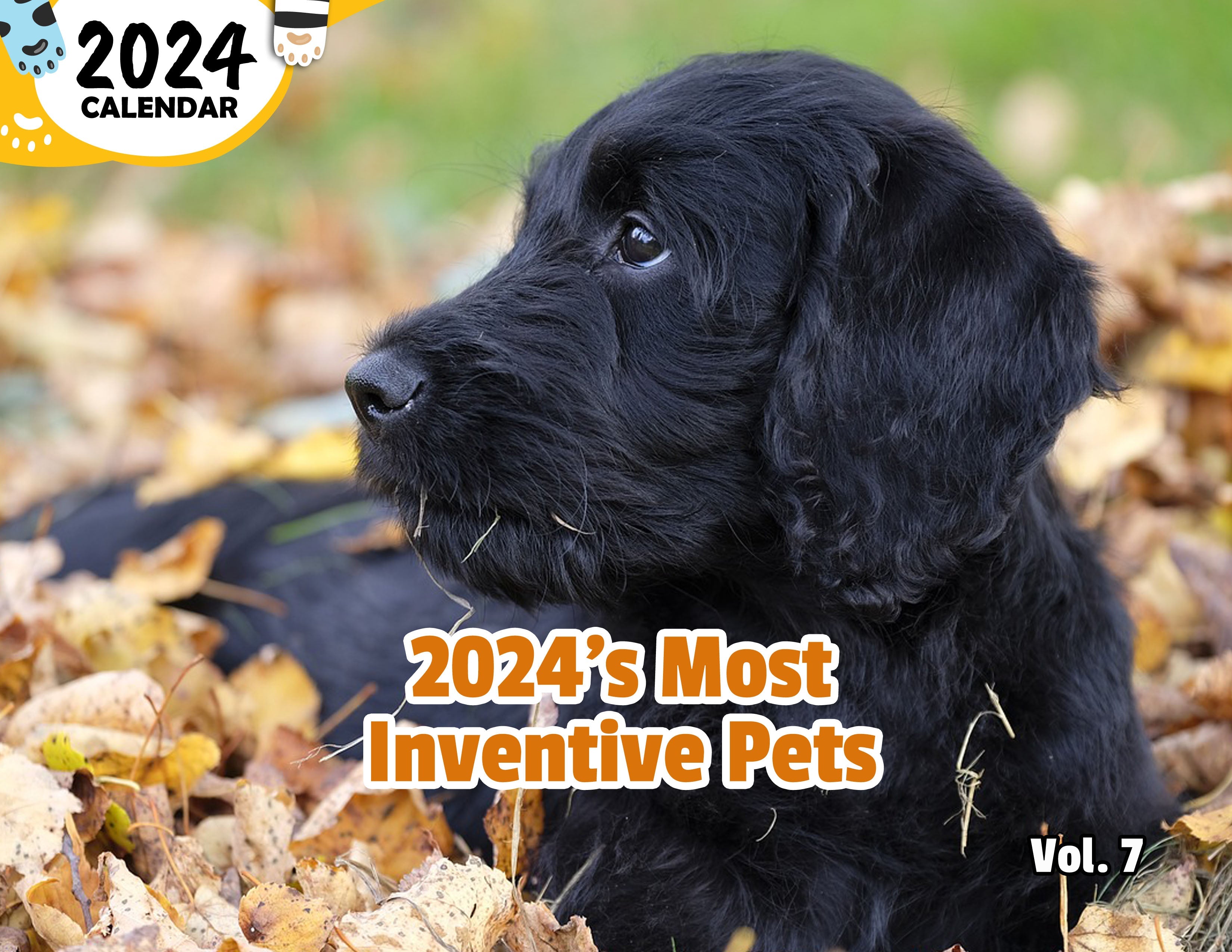2024's Most Inventive Pets Volume Seven: 2024 Wall Calendar (Published)