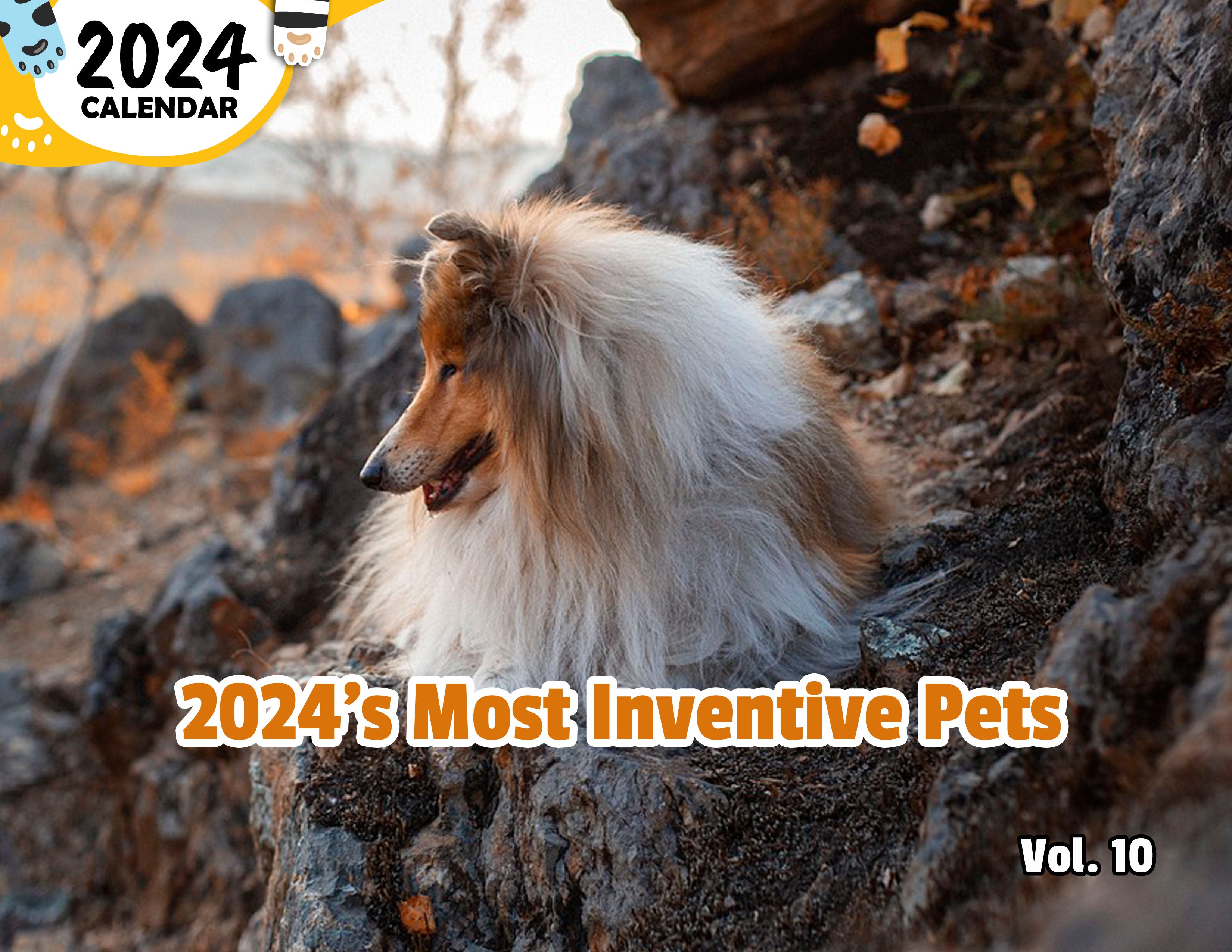 2024's Most Inventive Pets Volume Ten: 2024 Wall Calendar (Published)