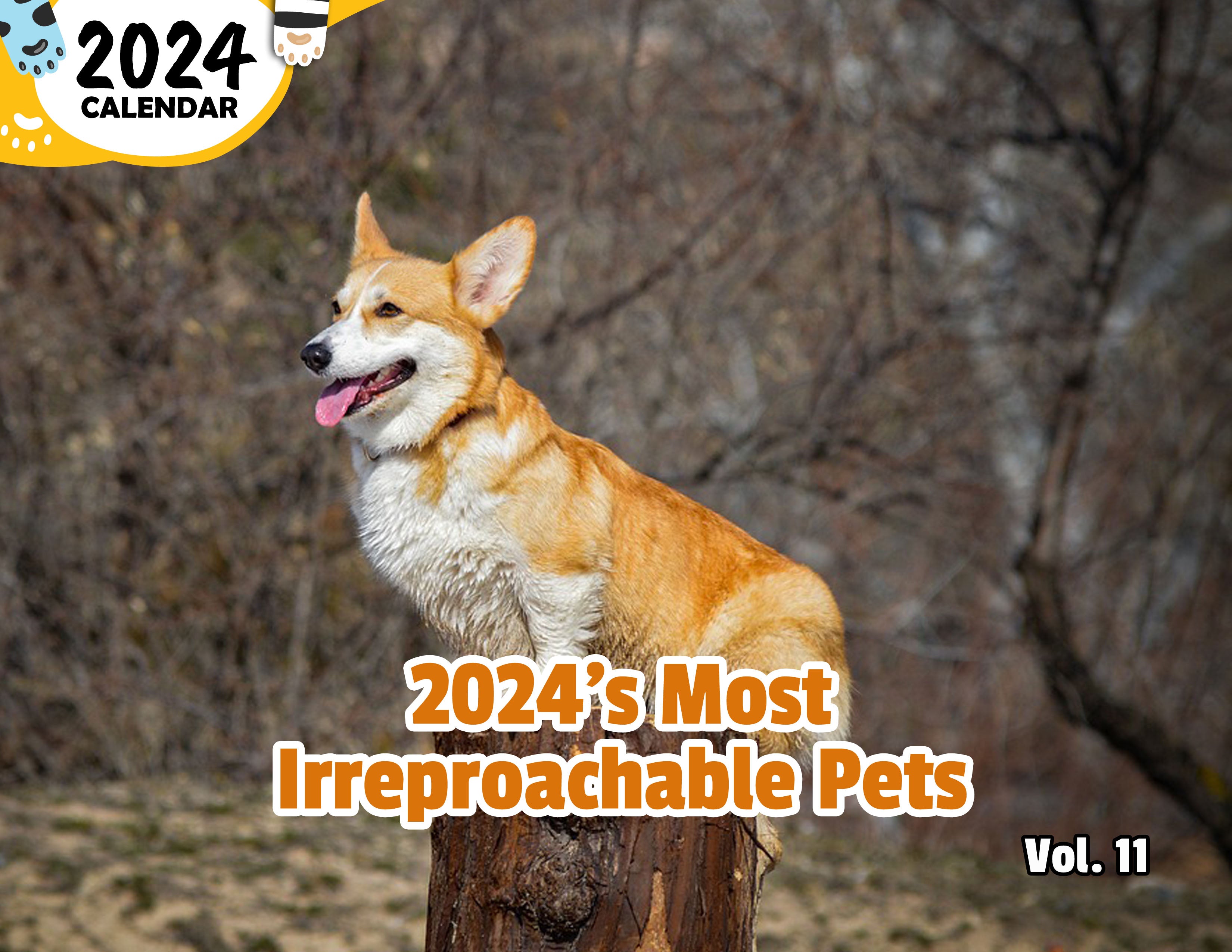 2024's Most Irreproachable Pets Volume Eleven: 2024 Wall Calendar (Published)