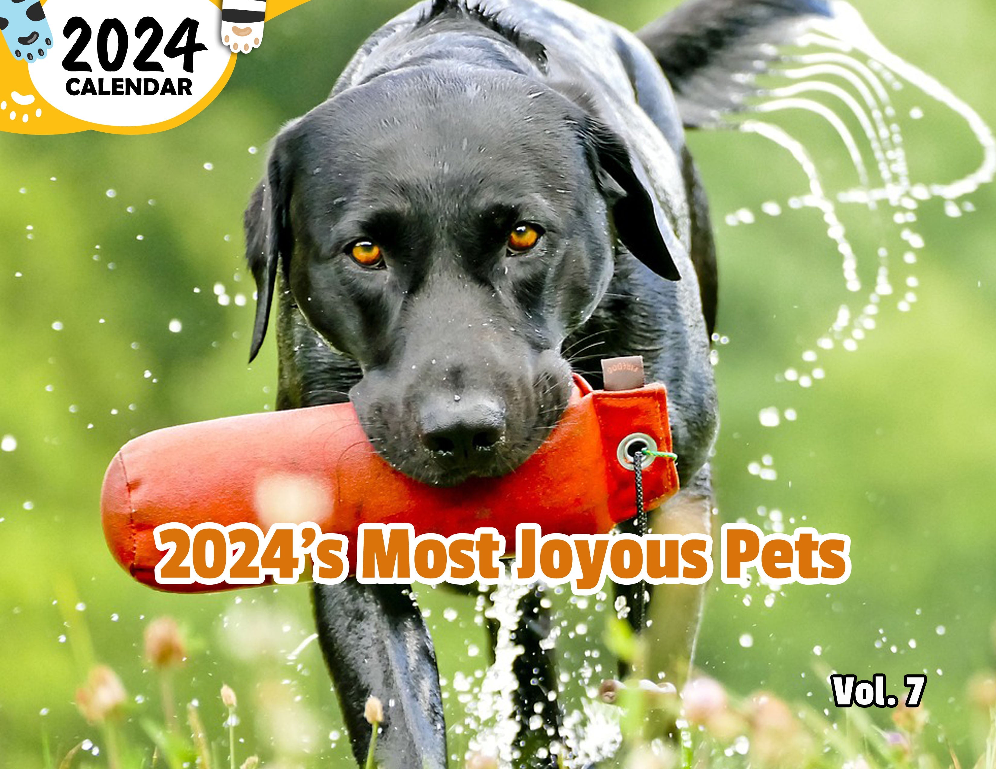 2024's Most Joyous Pets Volume Seven: 2024 Wall Calendar (Published)