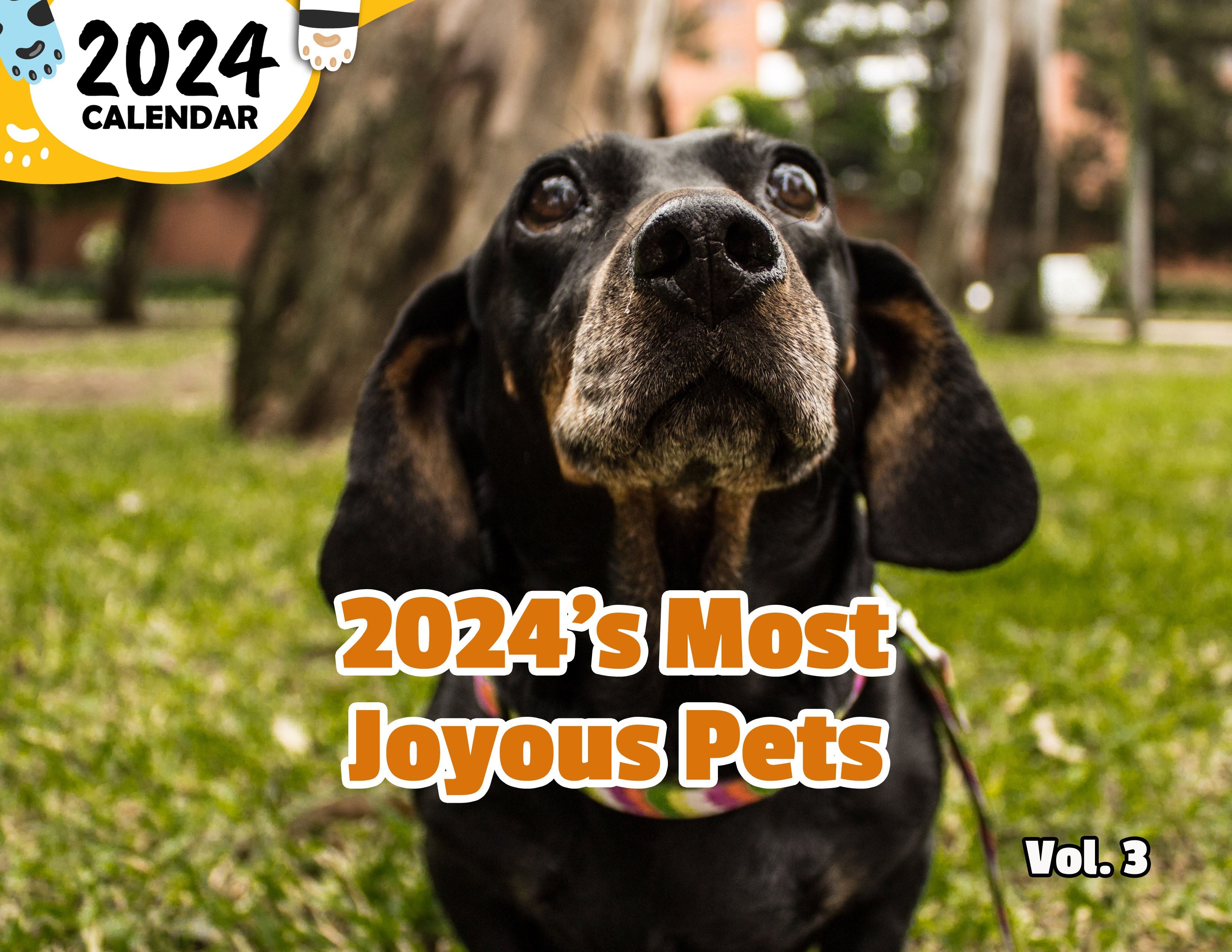 2024's Most Joyous Pets Volume Three: 2024 Wall Calendar (Published)