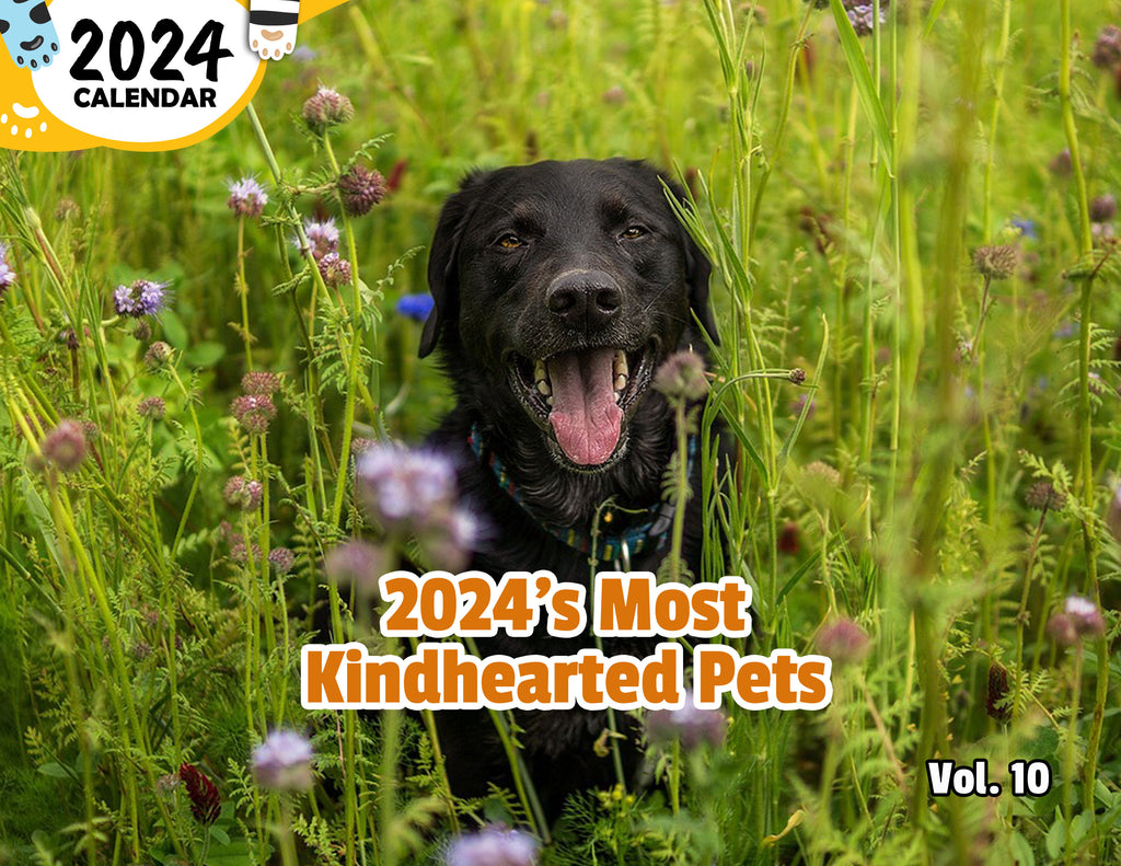 2024's Most Kindhearted Pets Volume Ten: 2024 Wall Calendar (Published)