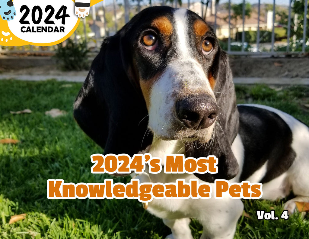 2024's Most Knowledgeable Pets Volume Four: 2024 Wall Calendar (Published)