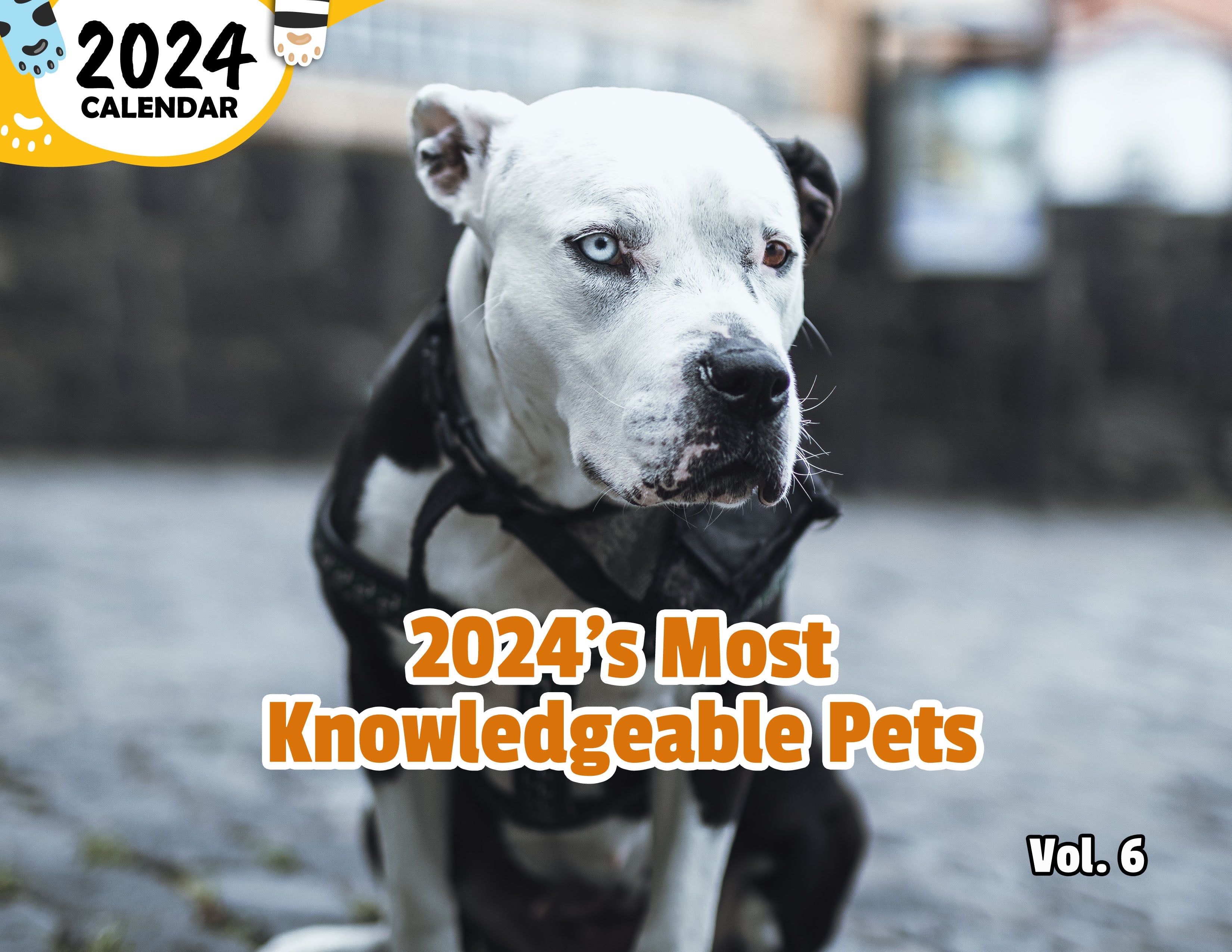 2024's Most Knowledgeable Pets Volume Six: 2024 Wall Calendar (Published)