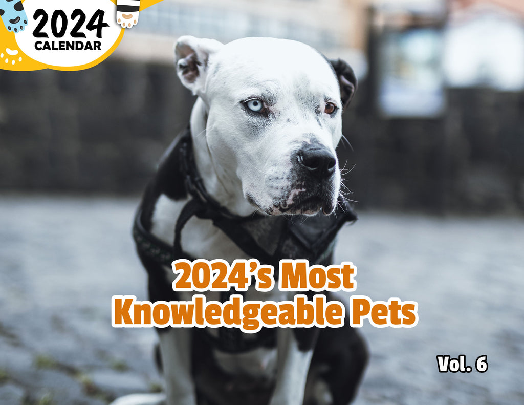 2024's Most Knowledgeable Pets Volume Six: 2024 Wall Calendar (Published)