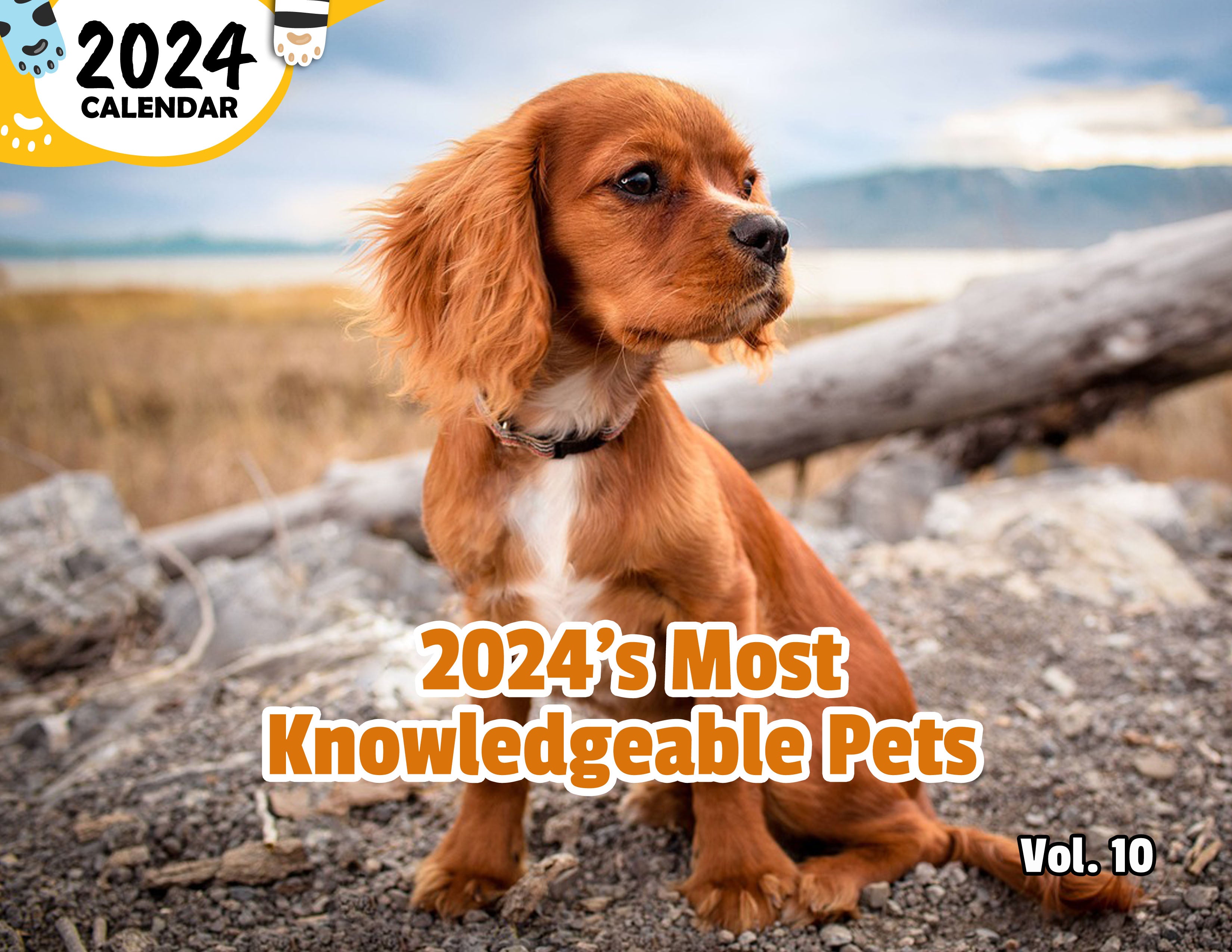 2024's Most Knowledgeable Pets Volume Ten: 2024 Wall Calendar (Published)