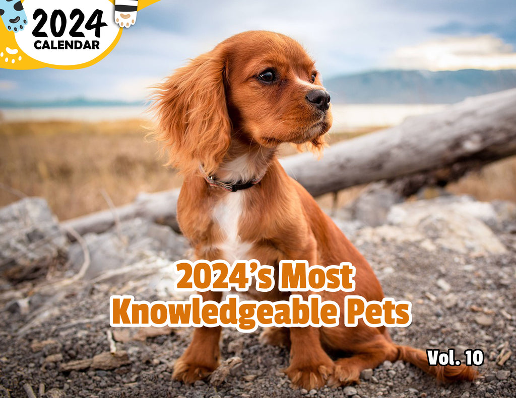 2024's Most Knowledgeable Pets Volume Ten: 2024 Wall Calendar (Published)