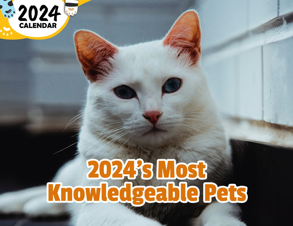 2024's Most Knowledgeable Pets: 2024 Wall Calendar (Published)