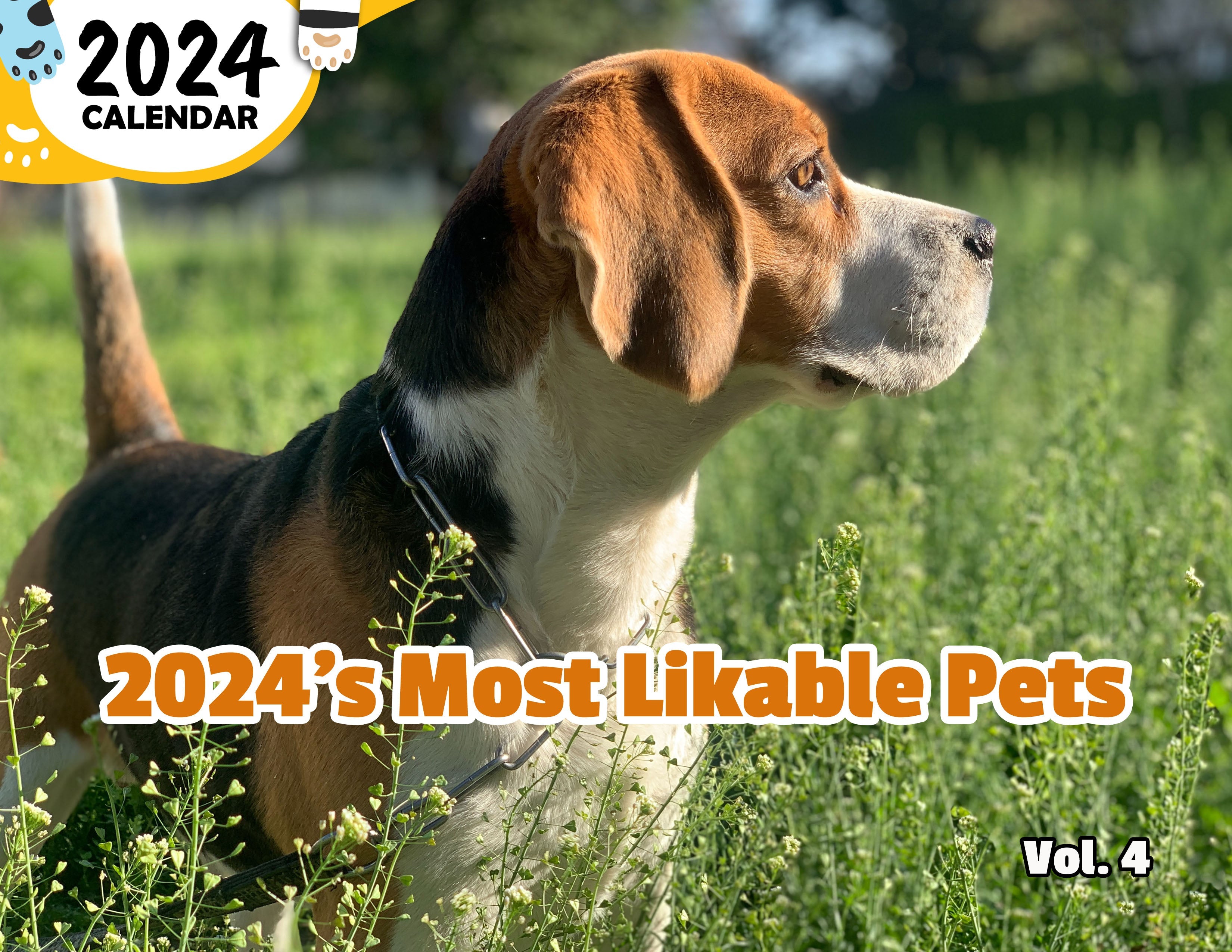 2024's Most Likable Pets Volume Four: 2024 Wall Calendar (Published)