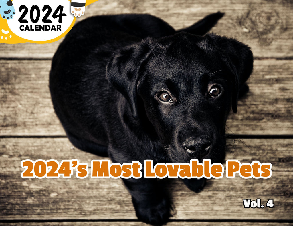 2024's Most Lovable Pets Volume Four: 2024 Wall Calendar (Published)