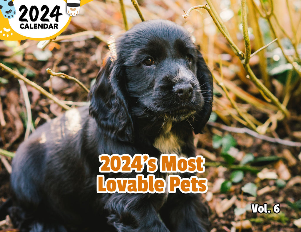 2024's Most Lovable Pets Volume Six: 2024 Wall Calendar (Published)