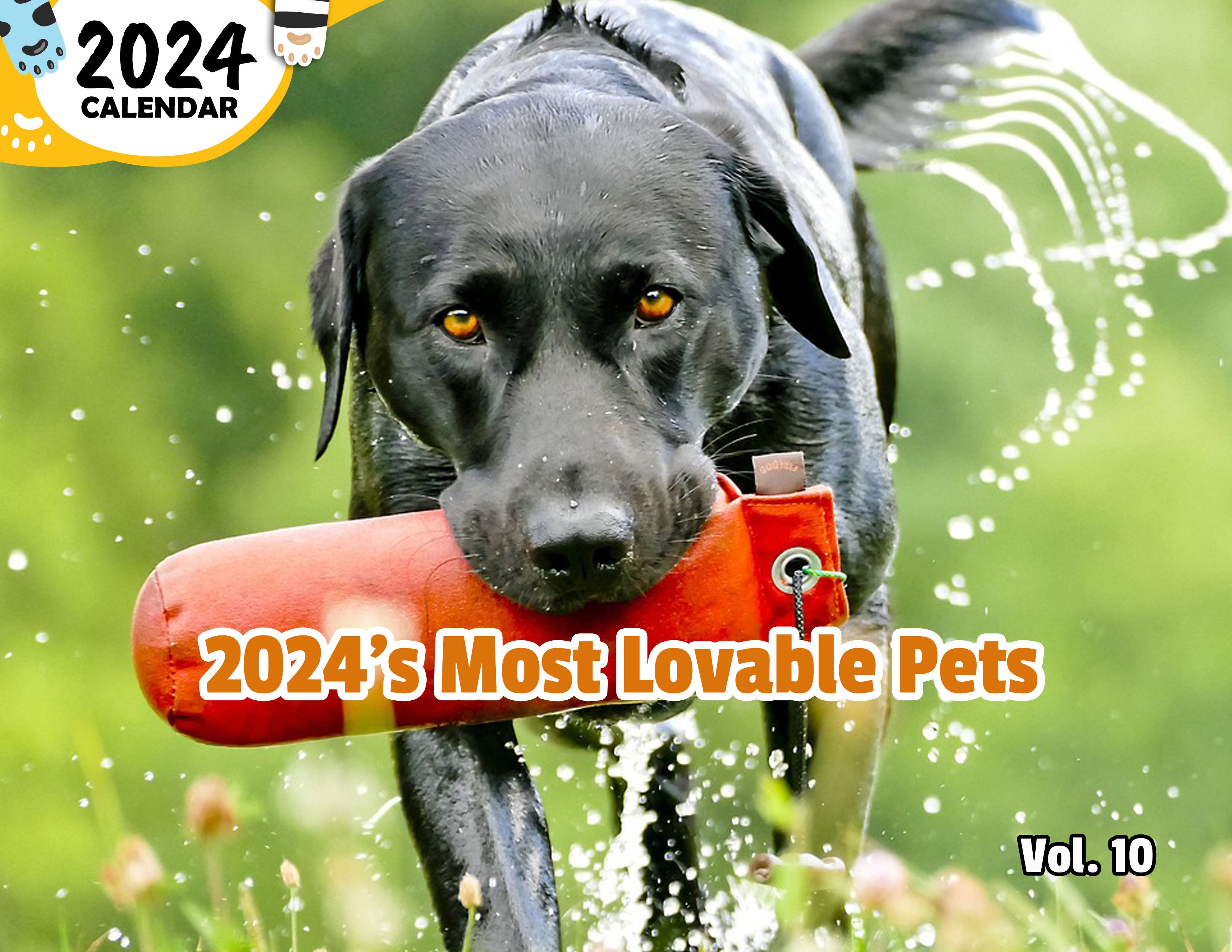 2024's Most Lovable Pets Volume Ten: 2024 Wall Calendar (Published)
