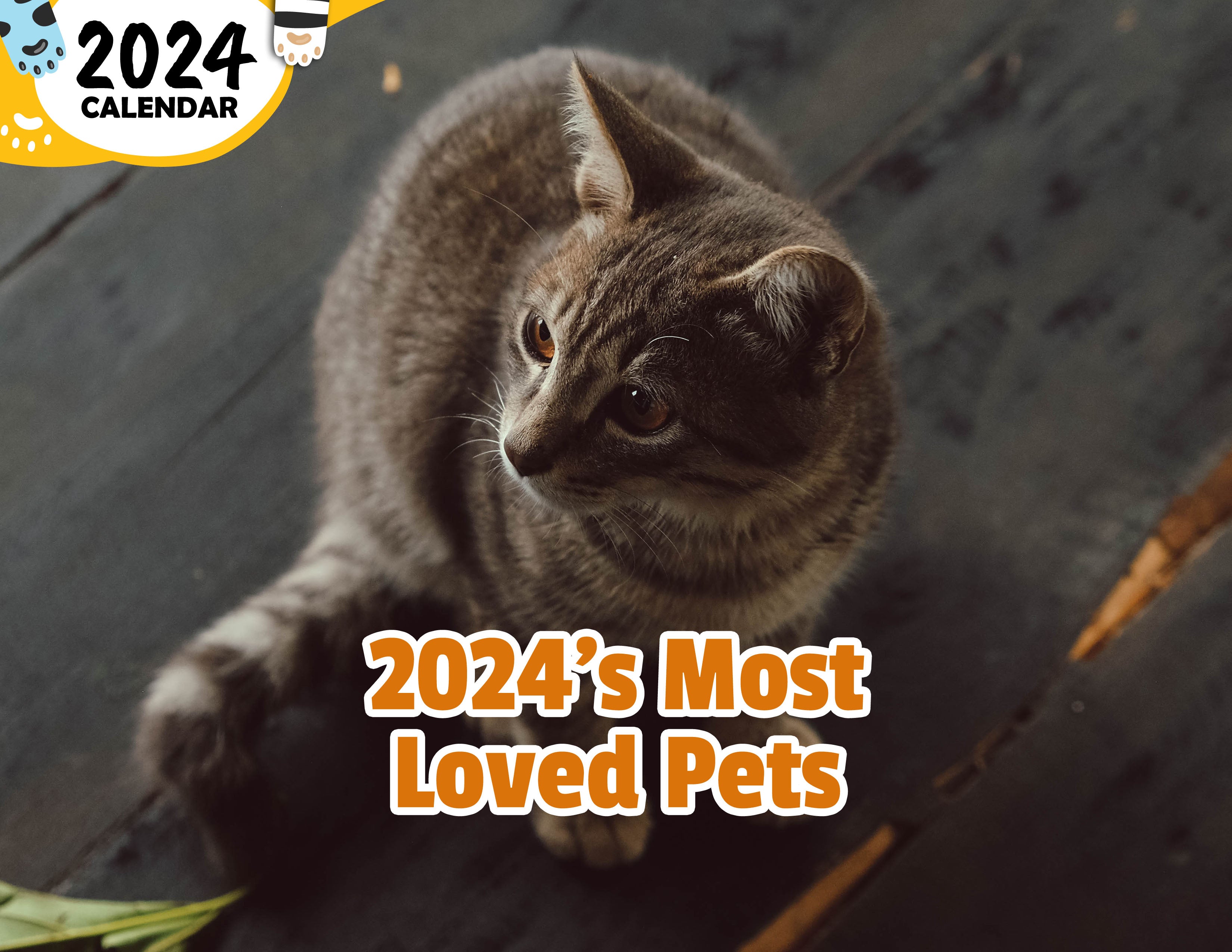 2024's Most Loved Pets: 2024 Wall Calendar (Published)