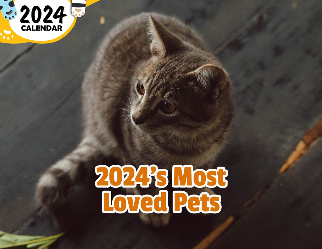 2024's Most Loved Pets: 2024 Wall Calendar (Published)