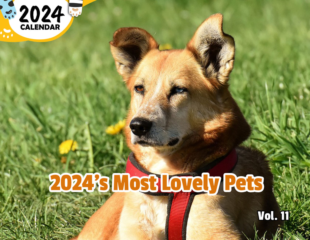 2024's Most Lovely Pets Volume Eleven: 2024 Wall Calendar (Published)