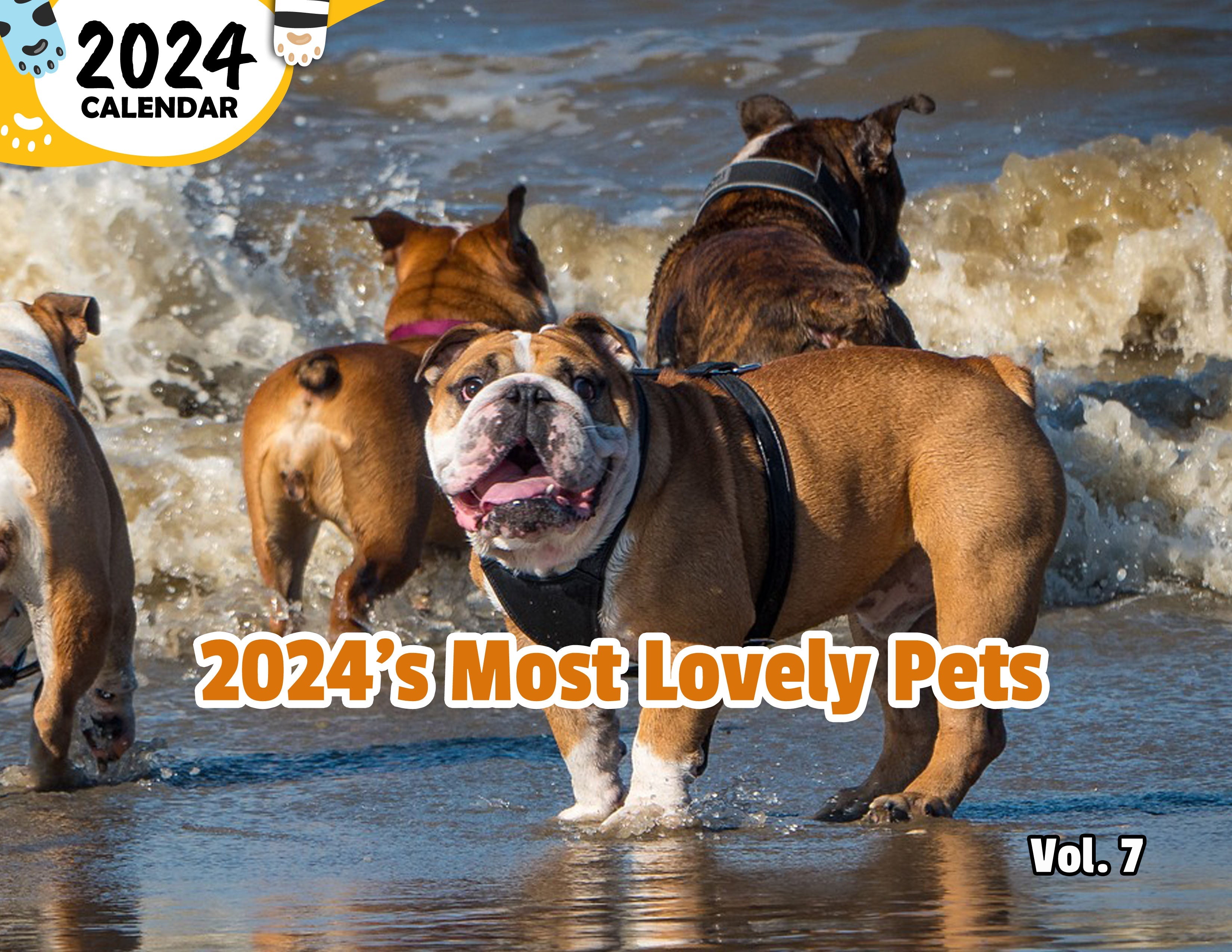 2024's Most Lovely Pets Volume Seven: 2024 Wall Calendar (Published)