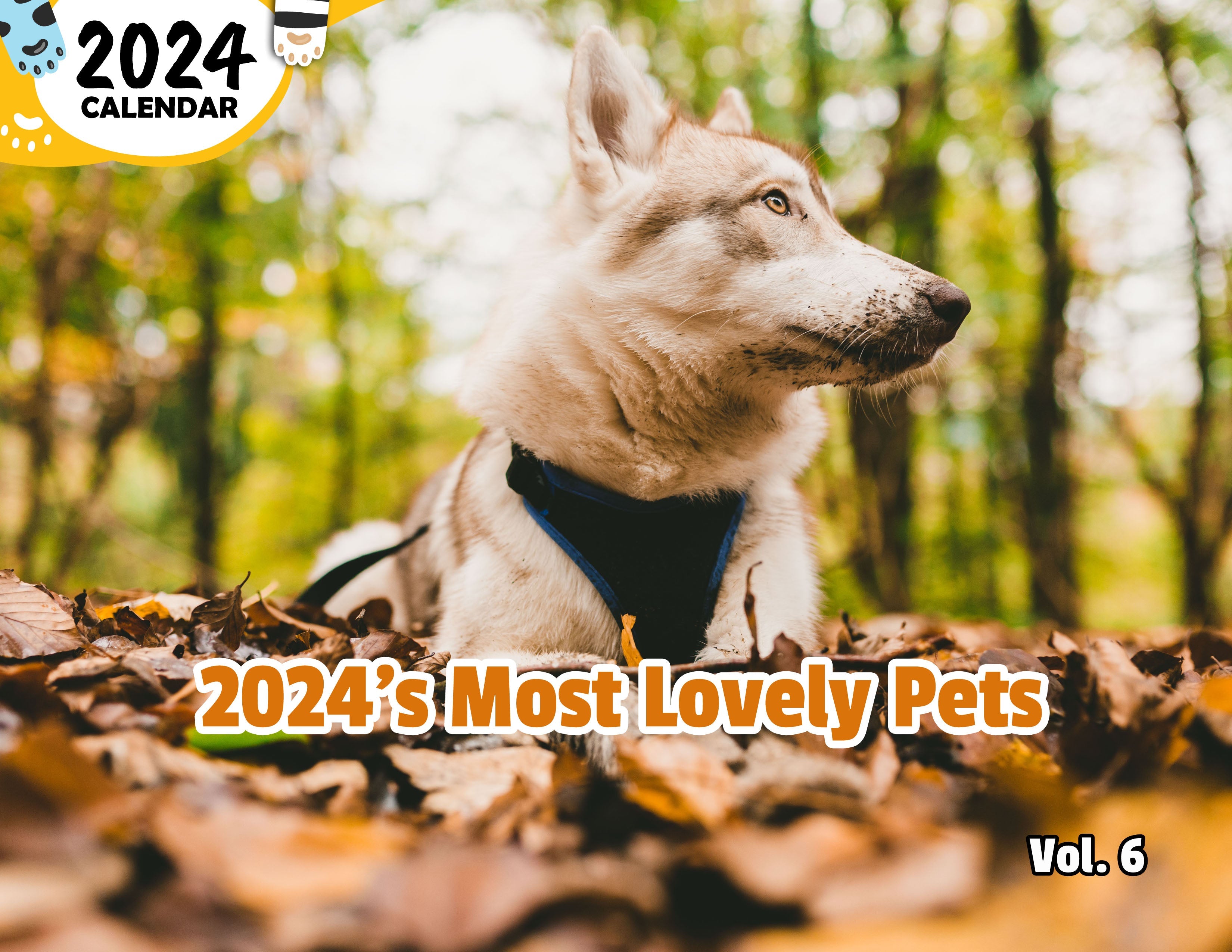 2024's Most Lovely Pets Volume Six: 2024 Wall Calendar (Published)