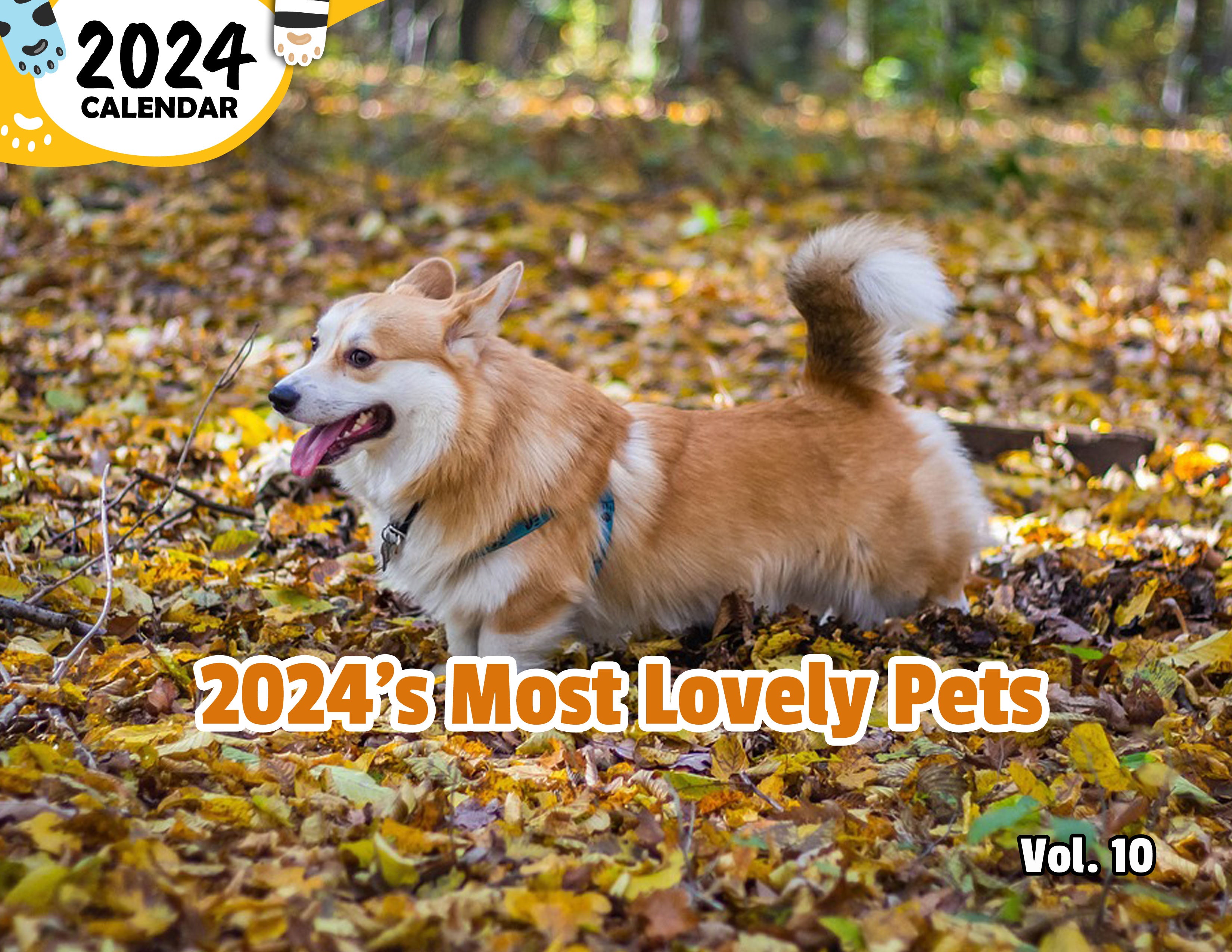 2024's Most Lovely Pets Volume Ten: 2024 Wall Calendar (Published)