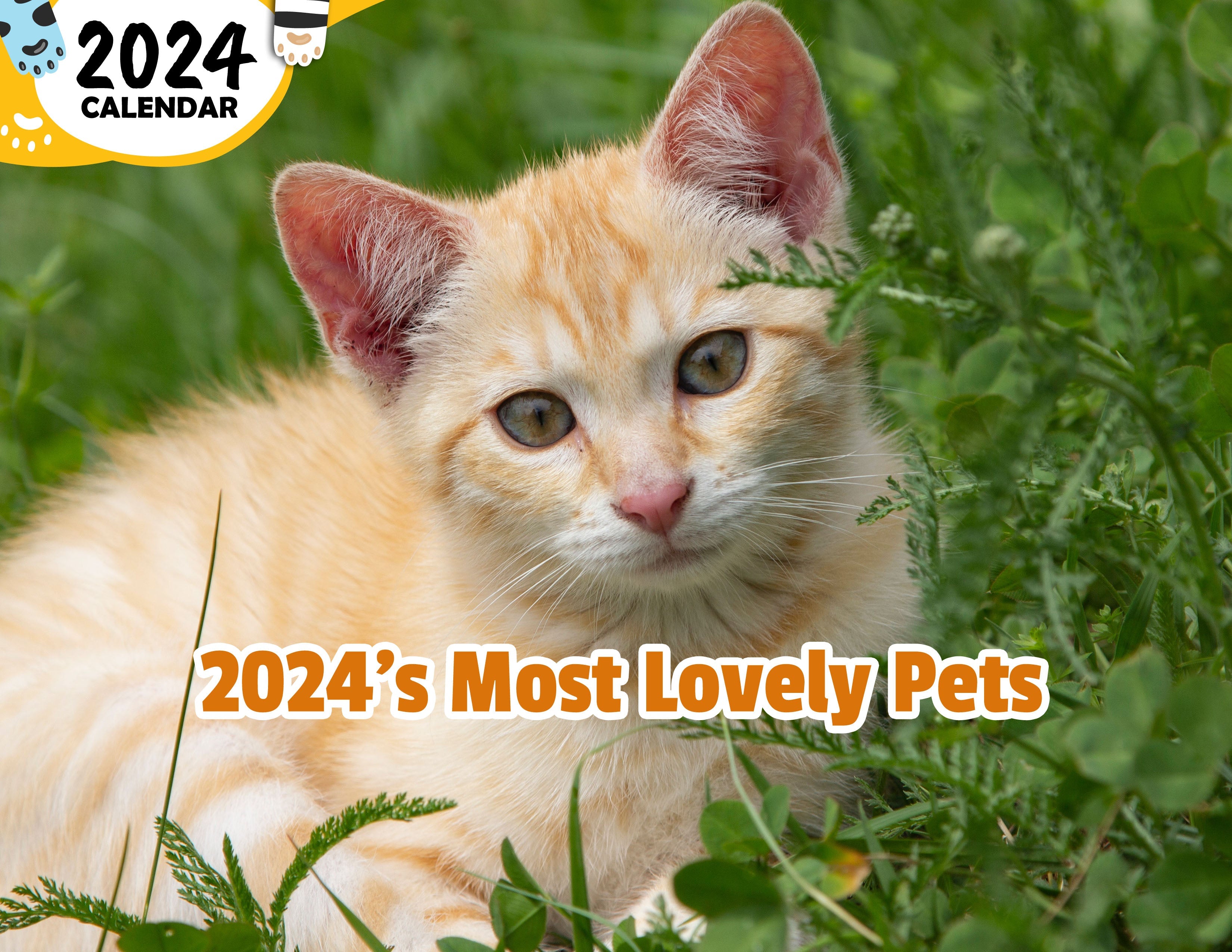2024's Most Lovely Pets: 2024 Wall Calendar (Published)