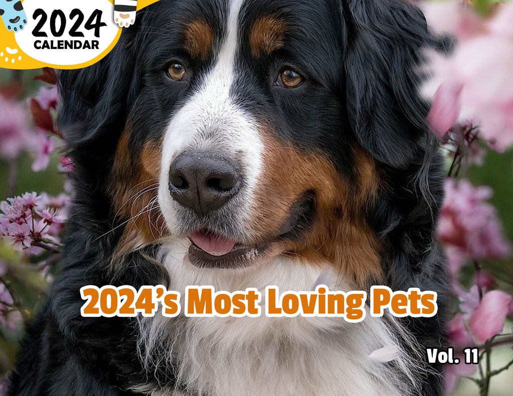 2024's Most Loving Pets Volume Eleven: 2024 Wall Calendar (Published)